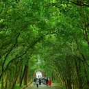 灵谷寺 - 南京市旅游 缩略图 7