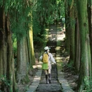天盖寺 - 雅安旅游 缩略图 1