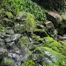 桫椤峡谷 - 乐山市旅游 缩略图 8
