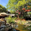 野炉子·山野景德菜(浮梁店) - 景德镇市旅游 缩略图 9
