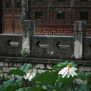 愚园 - 南京市旅游 缩略图 5