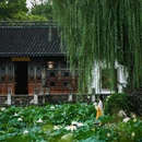 愚园 - 南京市旅游 缩略图 7
