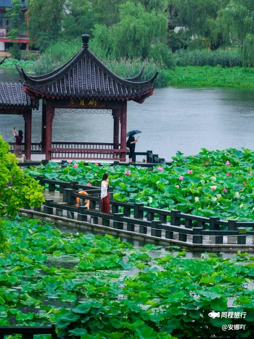 沙湖公园 - 武汉市旅游