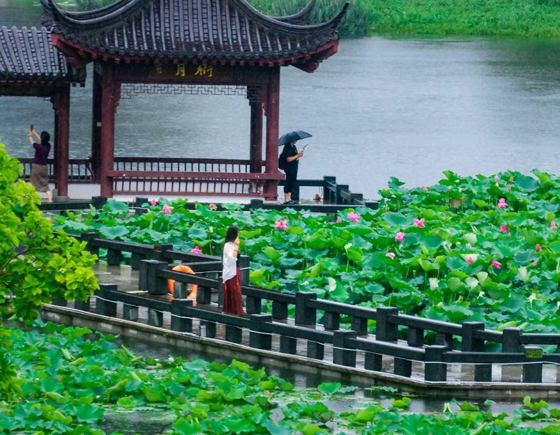 沙湖公园 - 武汉市旅游 1