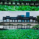 沙湖公园 - 武汉市旅游 缩略图 2