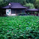 沙湖公园 - 武汉市旅游 缩略图 4
