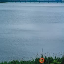 沙湖公园 - 武汉市旅游 缩略图 8