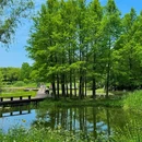 苏州虎丘湿地公园 - 苏州市旅游 缩略图 3