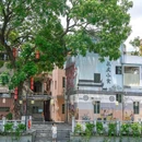 永庆村 - 东莞市旅游 缩略图 1
