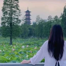 象湖湿地公园 - 南昌市旅游 缩略图 4