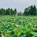 象湖湿地公园 - 南昌市旅游 缩略图 3