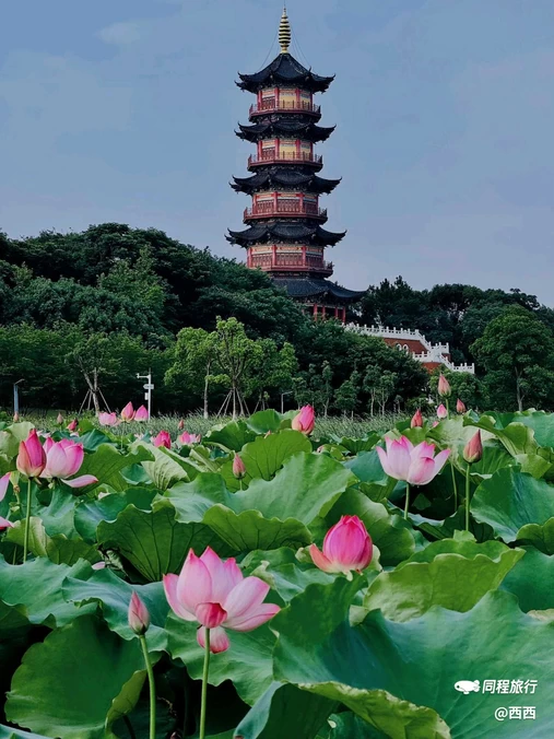 象湖湿地公园 - 南昌市旅游