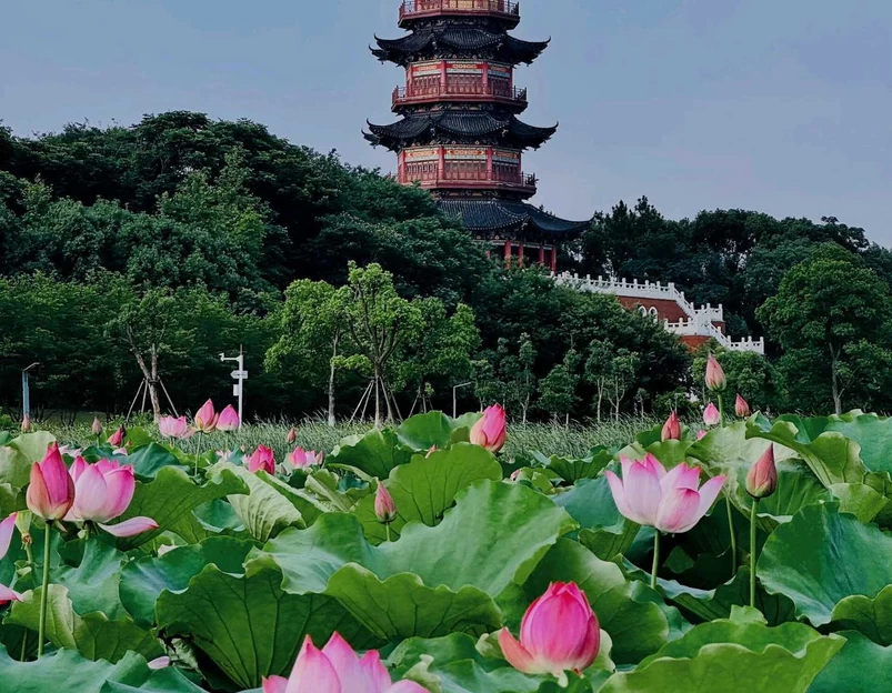 象湖湿地公园 - 南昌市旅游 1
