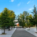 悦泊酒店(洛阳应天门洛邑古城店)停车场-入口 - 洛阳市旅游 缩略图 1