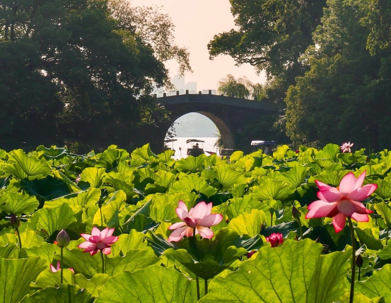 西湖风景名胜区 - 杭州市旅游 1