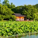 西湖风景名胜区 - 杭州市旅游 缩略图 7