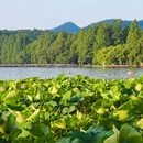 西湖风景名胜区 - 杭州市旅游 缩略图 8