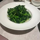 上海植物园 - 上海市旅游 缩略图 1
