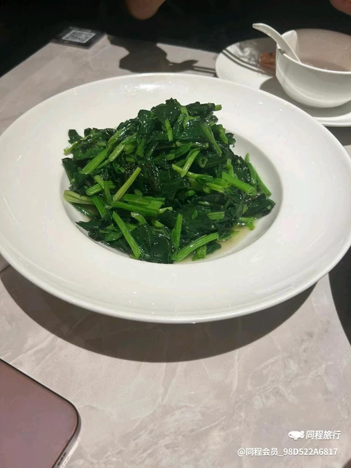 上海植物园 - 上海市旅游