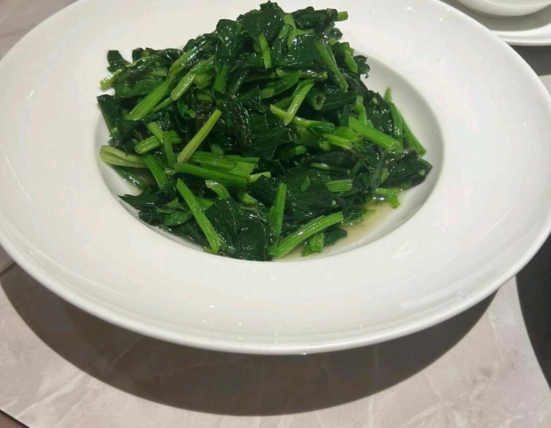 上海植物园 - 上海市旅游 1