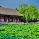 颐和园 - 北京市旅游 缩略图 5