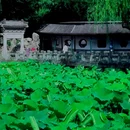 颐和园 - 北京市旅游 缩略图 7