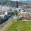 婺女洲度假区 - 上饶市旅游 缩略图 6