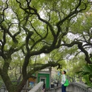 祖庙 - 佛山旅游 缩略图 9