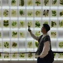 广东中医药博物馆 - 广州市旅游 缩略图 4