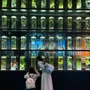 广东中医药博物馆 - 广州市旅游 缩略图 3