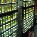 广东中医药博物馆 - 广州市旅游 缩略图 7