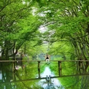 西溪南村 - 黄山市旅游 缩略图 3