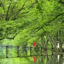 西溪南村 - 黄山市旅游 缩略图 5