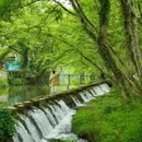 西溪南村 - 黄山市旅游 缩略图 2