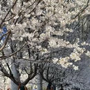 武汉极地海洋公园 - 武汉市旅游 缩略图 1