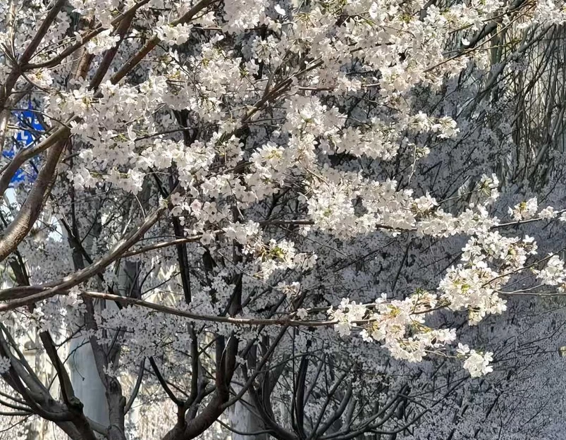 武汉极地海洋公园 - 武汉市旅游 1