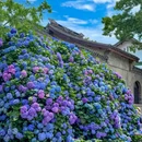 无锡太湖鼋头渚风景区 - 无锡市旅游 缩略图 3