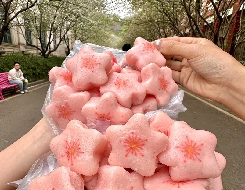 车塘河小区-北区 - 长沙旅游 1