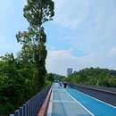牛湖水碧道 - 深圳市旅游 缩略图 5