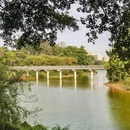 牛湖水碧道 - 深圳市旅游 缩略图 4