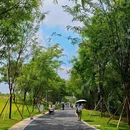 牛湖水碧道 - 深圳市旅游 缩略图 2