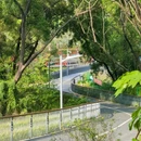 牛湖水碧道 - 深圳市旅游 缩略图 6