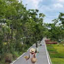 星海半岛湿地公园 - 昆明市旅游 缩略图 7