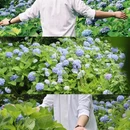 湖南省森林植物园 - 长沙市旅游 缩略图 1