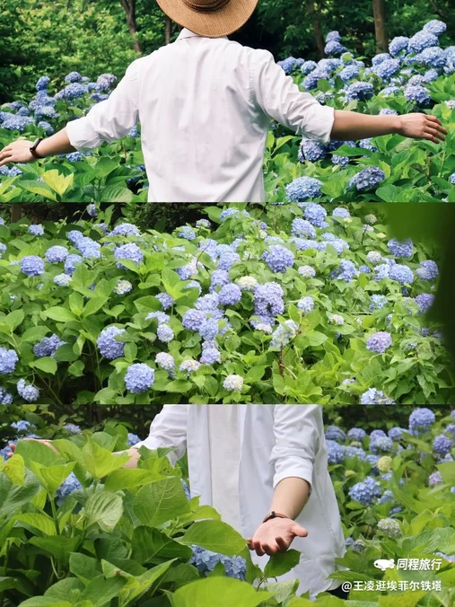 湖南省森林植物园 - 长沙市旅游