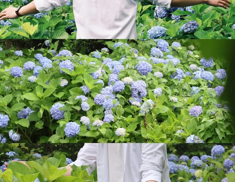 湖南省森林植物园 - 长沙市旅游 1