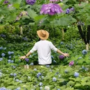 湖南省森林植物园 - 长沙市旅游 缩略图 9