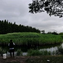 罗泾水源涵养林 - 上海市旅游 缩略图 5