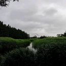罗泾水源涵养林 - 上海市旅游 缩略图 8