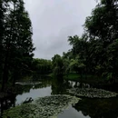 罗泾水源涵养林 - 上海市旅游 缩略图 9